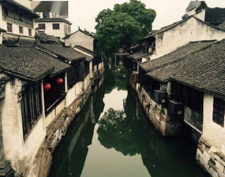 酷特智能创始人张代理:牵手华为打造企业治理一站式解决方案